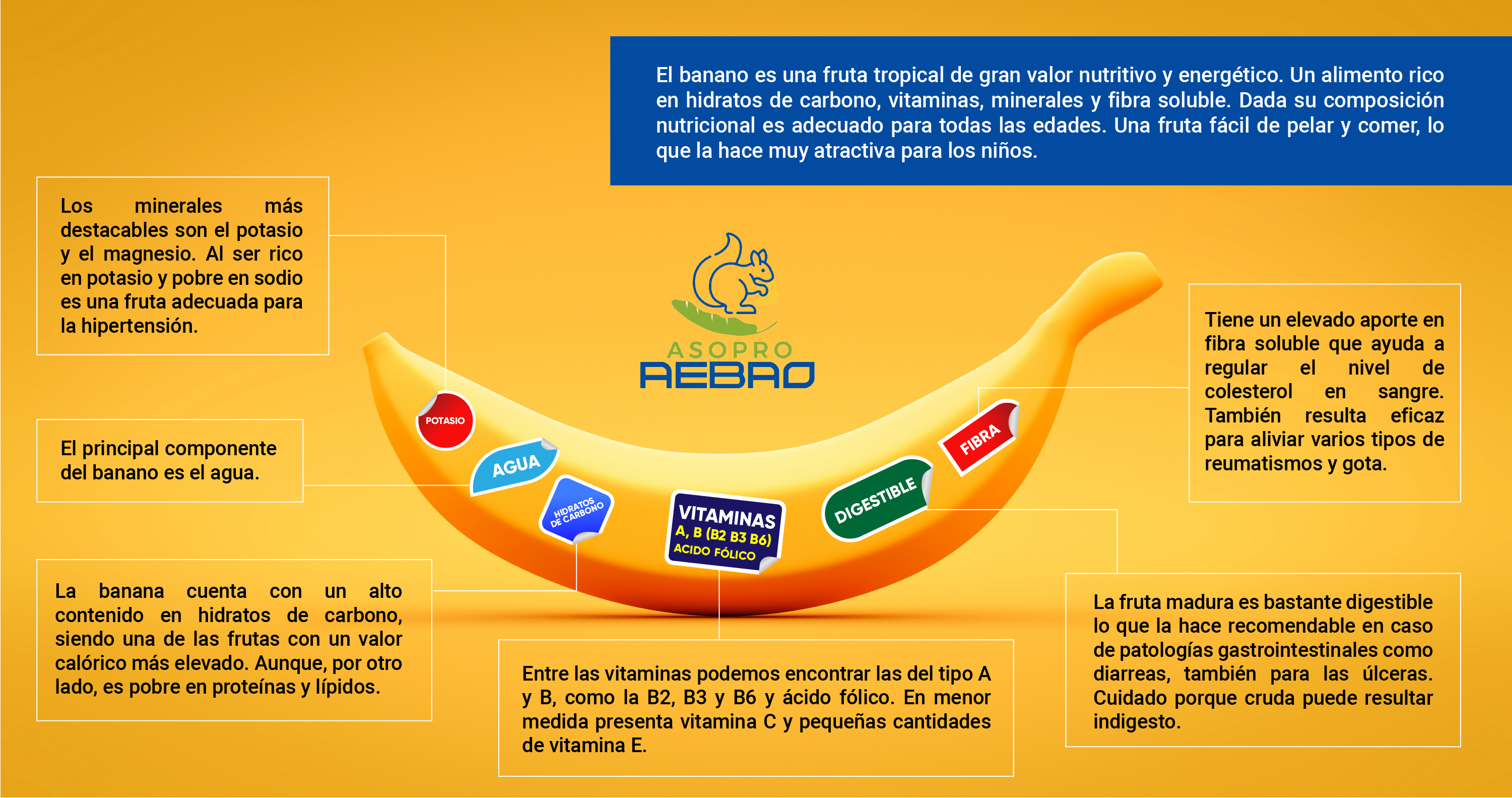 banana grafica 03